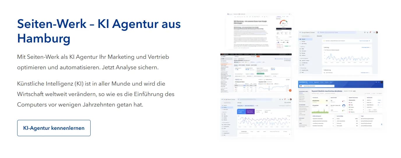 Homepage of the Hamburg-based AI agency Seiten-Werk with dashboards illustrating marketing and sales optimization.