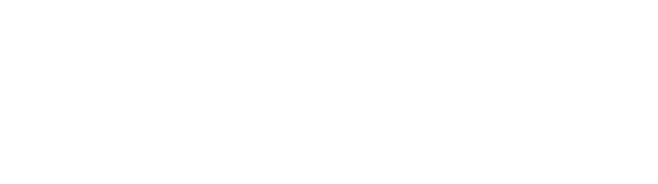 FlutterFlow Partner